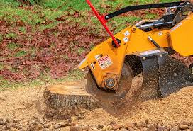 Reliable Milton, WV  Tree Services Solutions